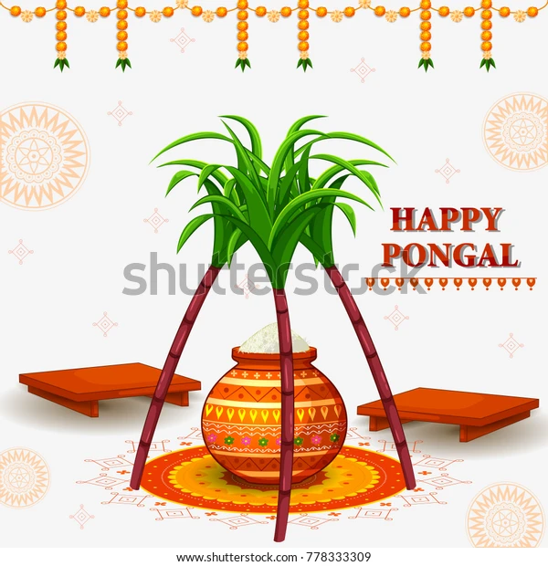Pongal Festival